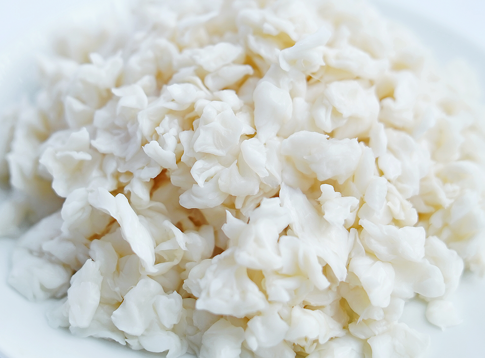Pressed nata de coco